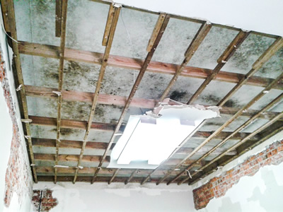 Image displaying a damaged ceiling with visible mold growth, necessitating restoration.