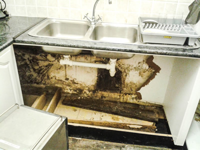Image capturing a damaged wall with mold growth under a sink, highlighting the importance of restoration