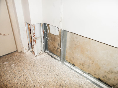 Image showcasing a damaged wall with mold growth, emphasizing the need for restoration.